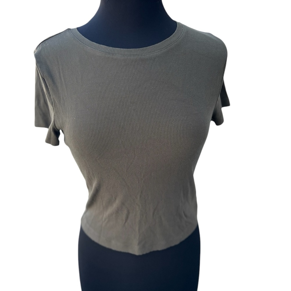 Express Green Fitted Crop Tee